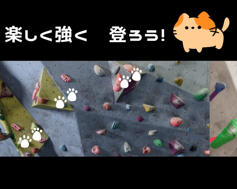 ねこクライミング